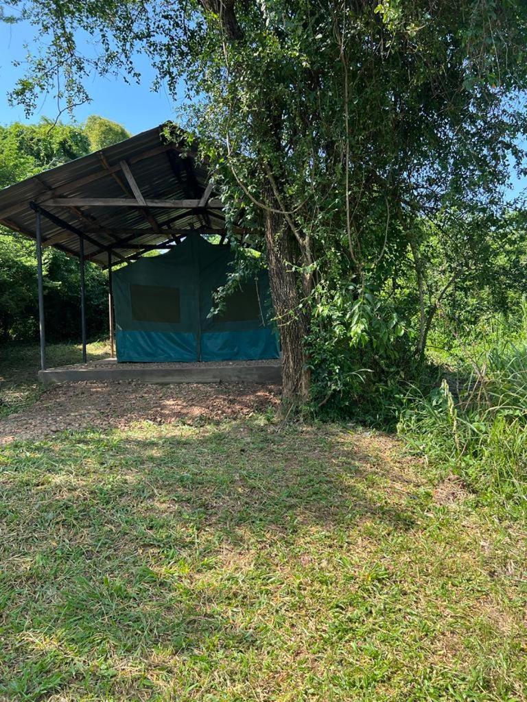 Murchison Giraffe Camp Paraa Exteriér fotografie